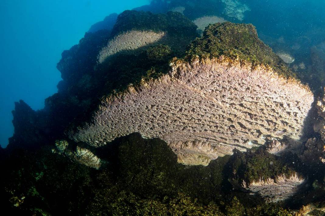 Gölde kale burcu ve duvar kalıntıları bulundu! Su altı turizmine katkı sağlayacak 1